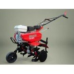 Hakfrees 80 cm met Honda GX160 OHV motor - 2 versnellingen vooruit + 1 achteruit - 6 messen en 2 schijven