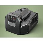 Standaardlader voor E-TECH POWER en EGO 56V lithiumbatterijen - 210 W