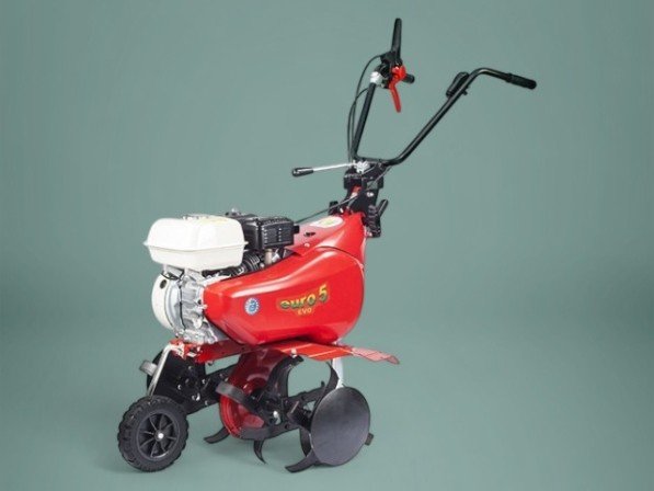 Hakfrees EURO 5 met motor Honda GP 160 OHV - 1 versnelling vooruit + 1 achteruit - 75 cm