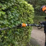 Man snoeit heg met HLA 66 heggenschaar op steel