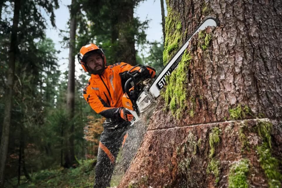 Boom vellen met de MS 500i kettingzaag van Stihl