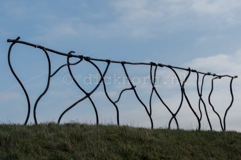 Dick_norg_kunstwerk_inspiratie