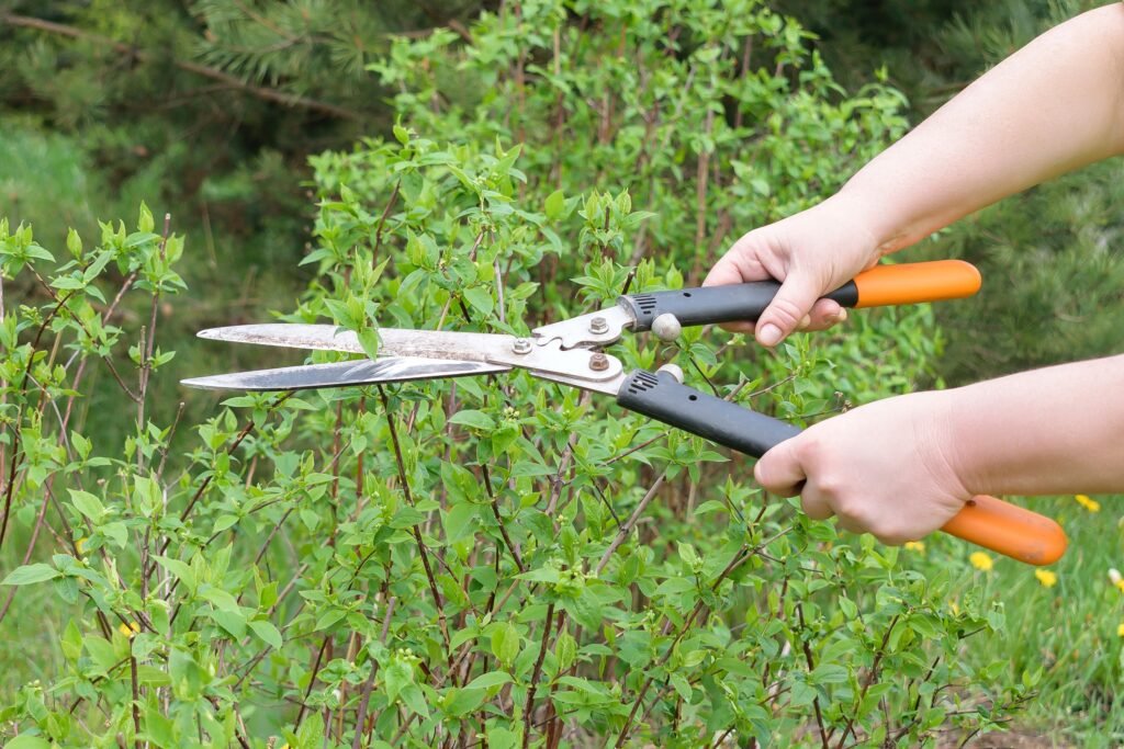 Dick Norg - Tuintechniek &Amp; Smederij